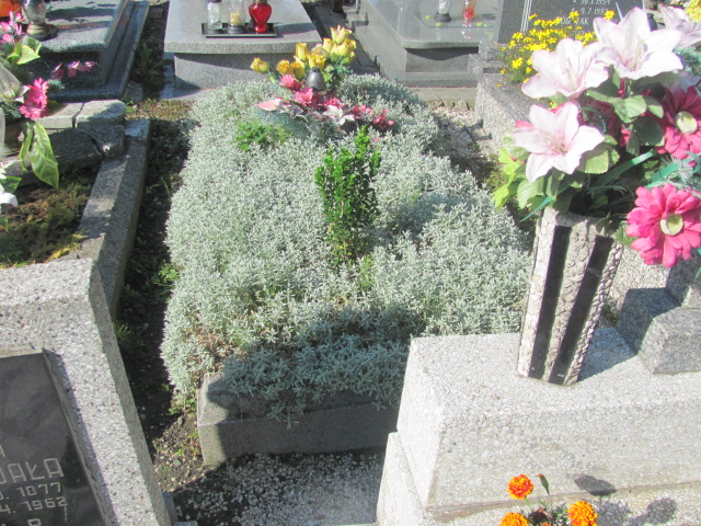 Grób Witold Cholewiński